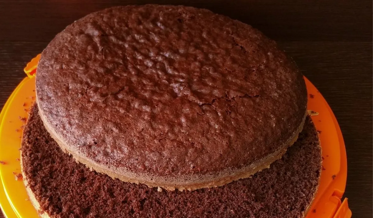 Pão de ló de chocolate
