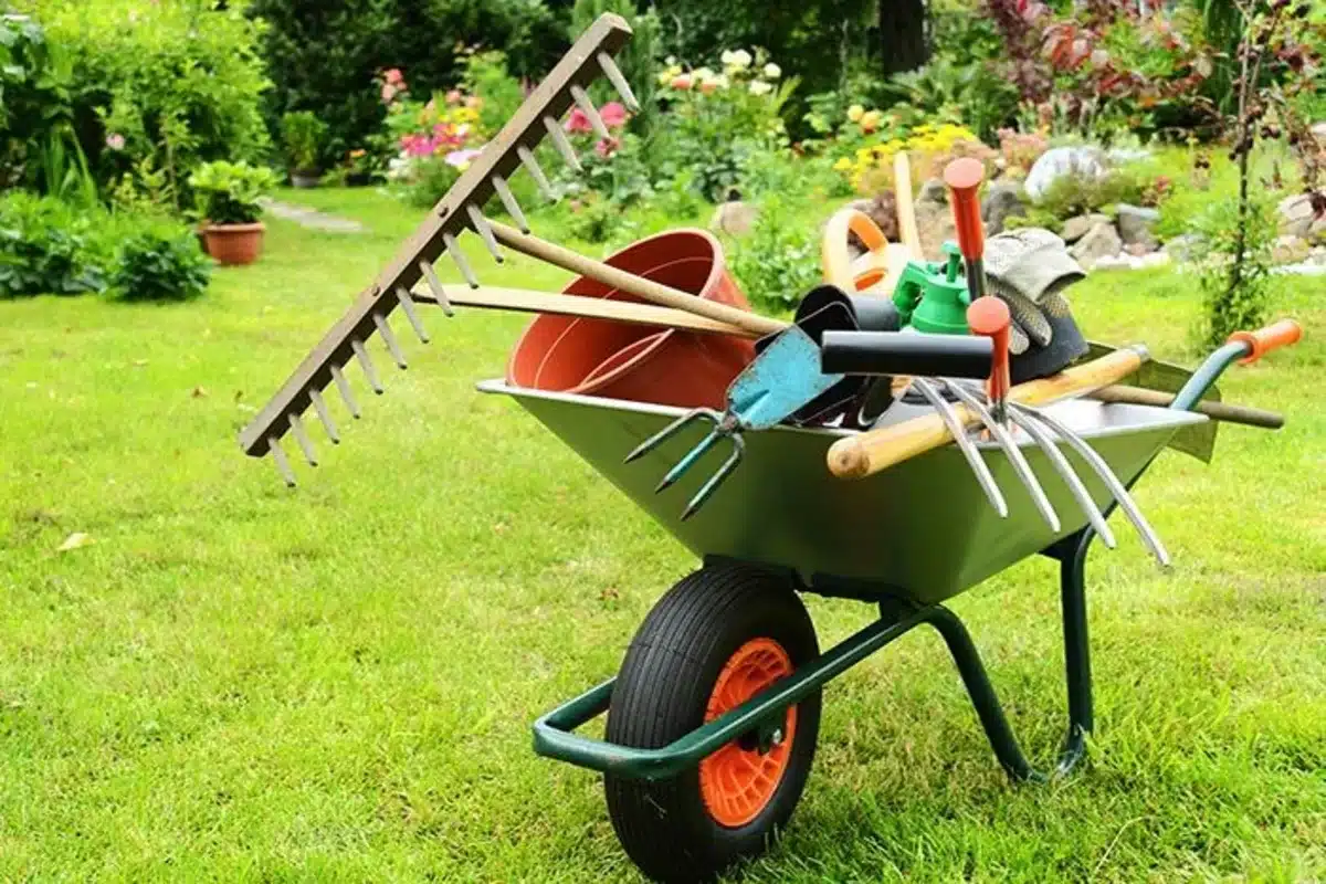 dicas para cultivar um jardim