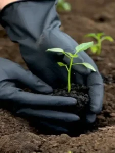 Suspiro um doce leve e crocante