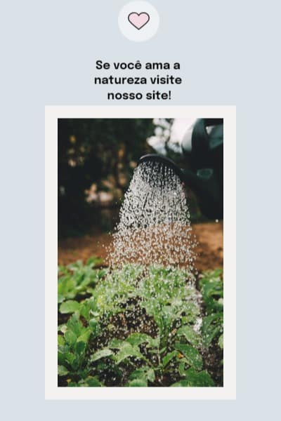 web stories page template 83