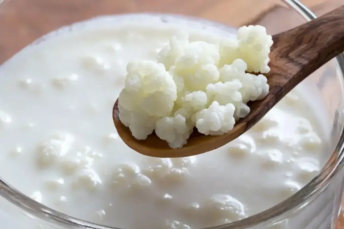 Kefir Caseiro