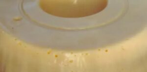 Delícia de Maracujá: Sobremesa Fácil e Refrescante para Toda a Família