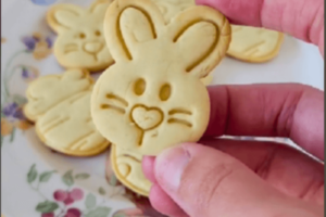 Biscoitinhos de Limão