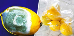 A dica para guardar limões por 3 meses ou mais e evitar que apodreçam