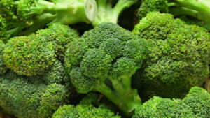 Aprenda a plantar Brócolis e colher em até 100 dias