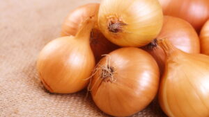 Aprenda a plantar Cebola e colher direto do quintal