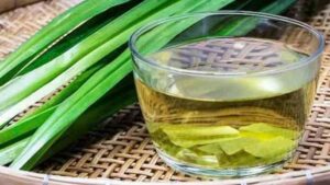 Capim-Limão: Emagreça e Desinche Naturalmente