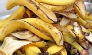 Pare de Jogar Fora as Cascas da Banana