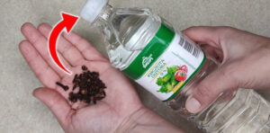 Coloque cravo-da-índia no vinagre! O resultado superou todas as minhas expectativas!