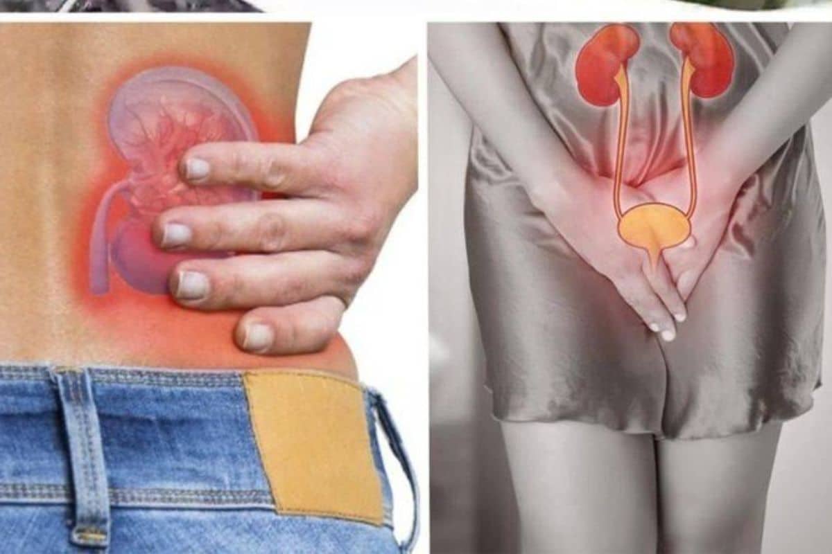 Como Acabar com a Infeccao Urinaria