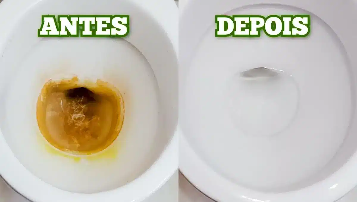 Como remover encardido de vaso s.webp