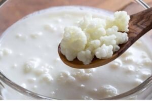 O segredo saudável que virou rotina aqui em casa: kefir de leite caseiro e fácil