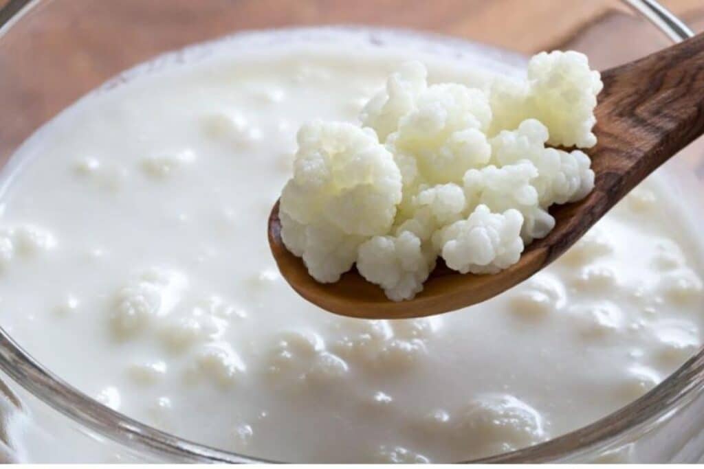 kefir de leite 1024x683 1