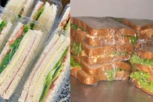 Sanduíche Natural: a receita fresquinha que conquistou minha família