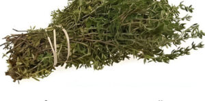 A planta mais poderosa, que destrói parasitas, infecções do trato urinário , vírus, bactérias, fungos…