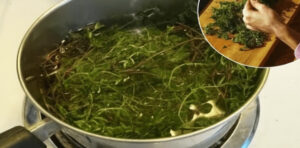 Esta planta combate dores e infecções de forma natural: Saiba como fazer o Chá e conheça os benefícios!