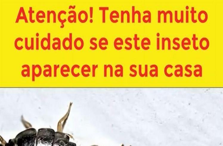 41a831d6270d971b36de9865900fe9eb 1
