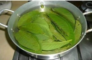 Uma Receita Natural para Saúde e Bem-Estar