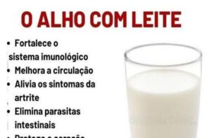 O Segredo Natural para uma Saúde Reforçada