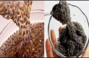 Guia Completo para Aproveitar ao Máximo este Superalimento