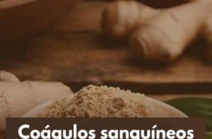 Um Guia Detalhado para Promover a Saúde Cardiovascular