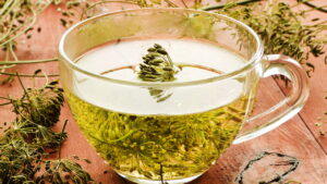 Como plantar erva-doce em casa e colher sementes para chá