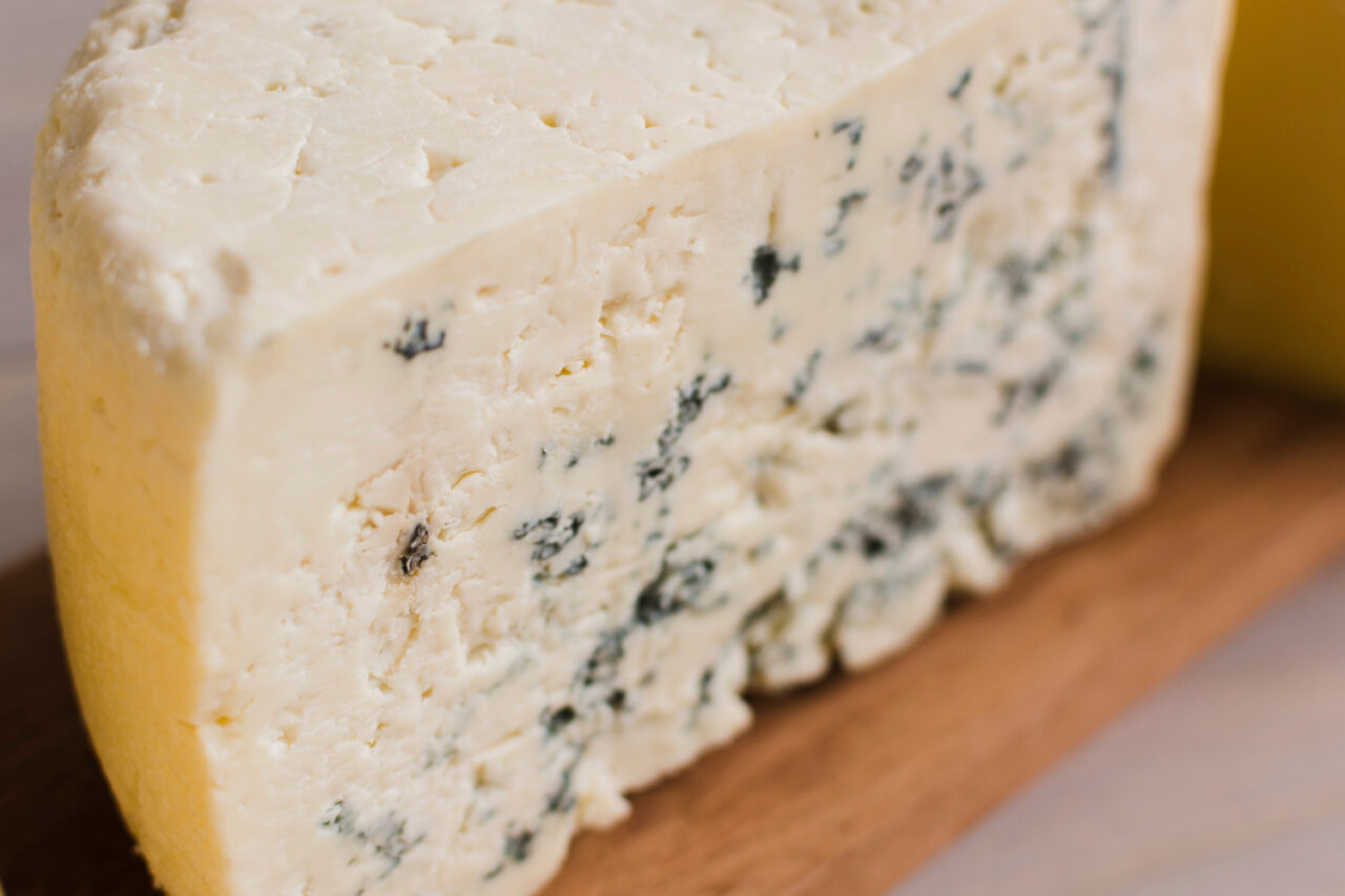 Como fazer queijo gorgonzola e1746829667970