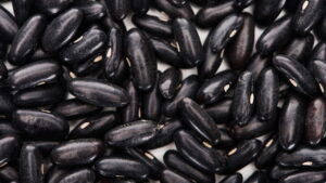 Como plantar feijão-preto e obter sabor fresco na sua cozinha