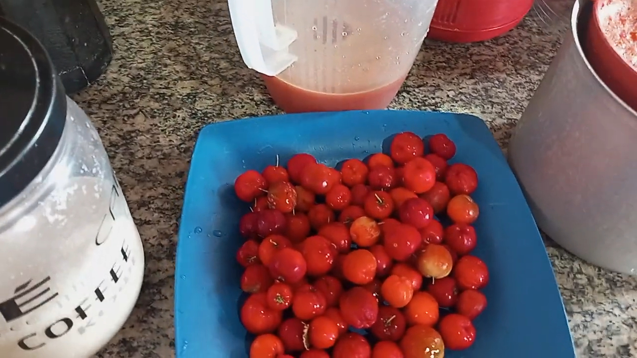 Suco Acerola Fonte Youtube Vida boa no interior com Rosa