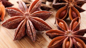 Veja como plantar anis-estrelado e aproveitar seus benefícios