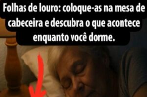 Segredos Revelados para Noites Tranquilas e Dias Revigorados