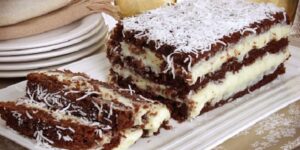 O Bolo que Mistura Neve com Cacau em Forma de Felicidade Bolo Gelado de Coco e Chocolate –