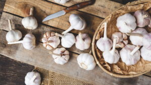 Como plantar alho e colher bulbos saudáveis direto do seu jardim
