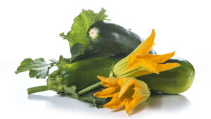 Plantar abobrinha em casa é o segredo para hortas produtivas e saudáveis