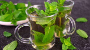 Receita simples de chá de hortelã para dias quentes