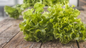 Como fazer salada de alface americano deliciosa e saudável