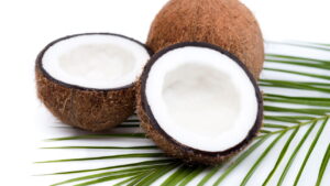 Como plantar coco em casa e colher frutos tropicais com facilidade