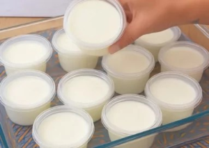 Iogurte Cremoso na Geladeira – Ver Receita