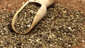 Guia prático para plantar orégano em vasos e colher direto da horta