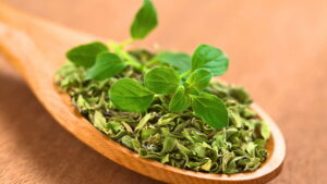 Plantar orégano em vasos pequenos garante sabor intenso o ano todo
