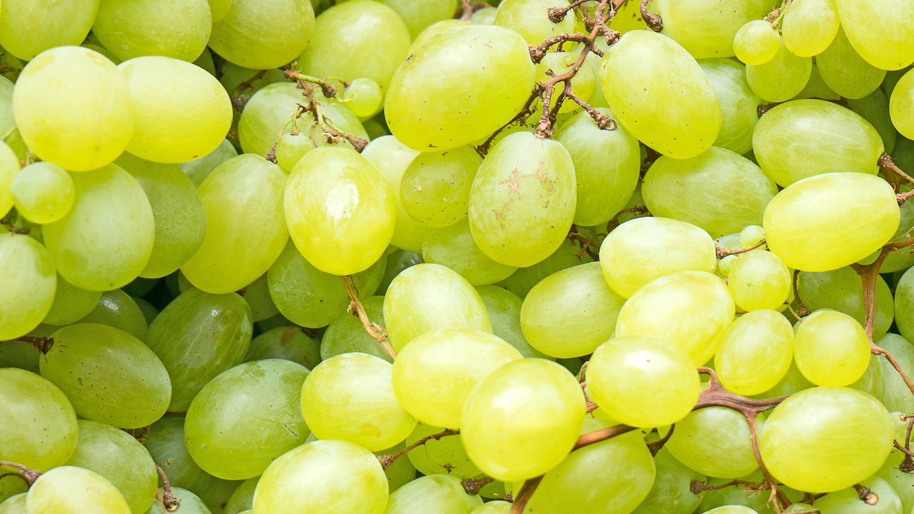 uva verde 1738969362642