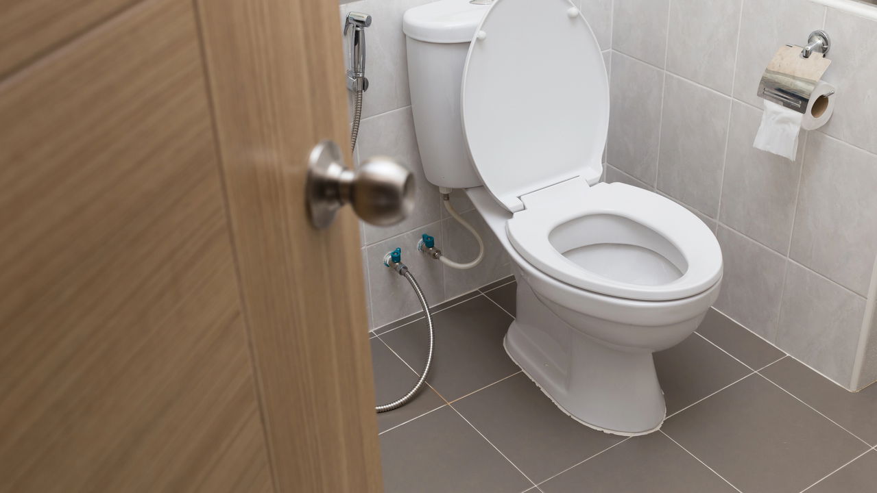 vaso sanitario 1758583656070