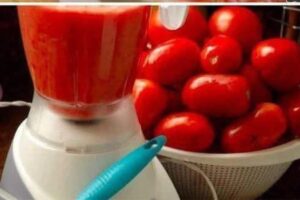 Molho de Tomate Caseiro tão gostoso que nunca mais comprei pronto