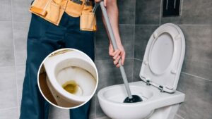 a melhor maneira de remover o calcário das torneiras e vasos sanitários