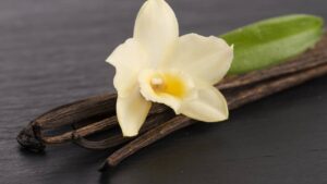 A Flor Chique que Vira Cheirinho Caríssimo no Seu Doce