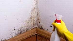 Truques caseiros para remover mofo e umidade das paredes