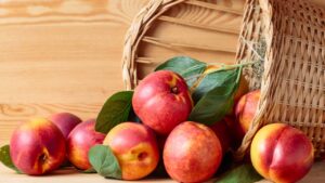 Frutos Irmãos Separados por uma Casca