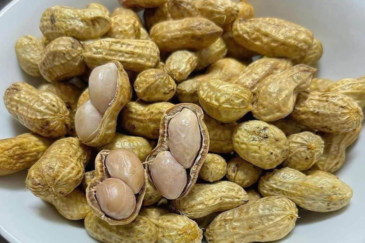 Medicos revelam que comer amendoim causa