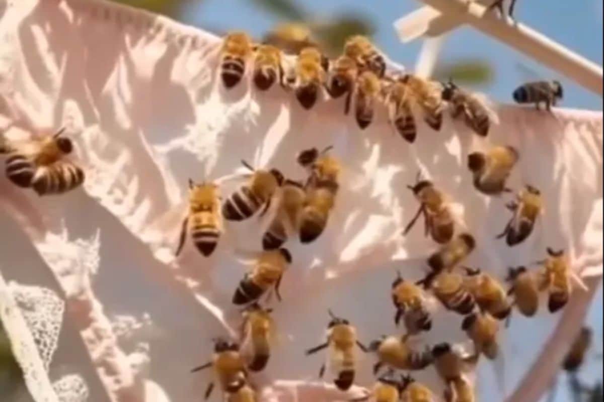 Se voce observar isto na sua roupa intima