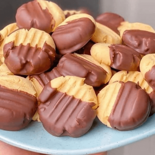 artigo569 sequilho de leite em po com chocolate